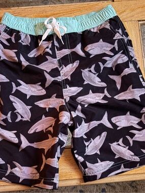 Big Chill Boys Black Swim Trunks with Mint Waistband and White Sharks